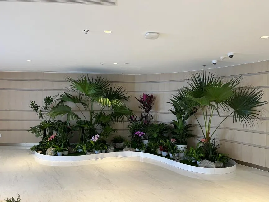 杭州湾花木租摆